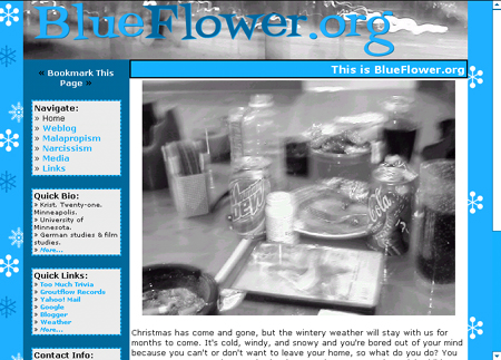 Screenshot of blueflower.org v3.0
